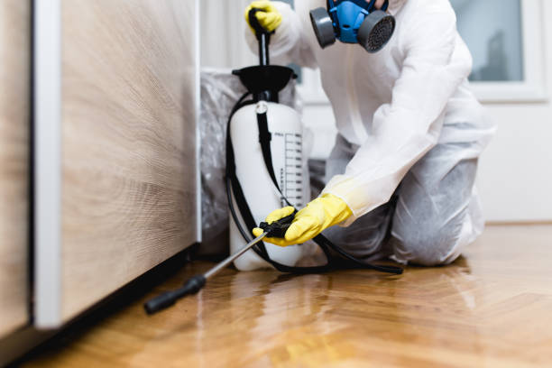 Best Pest Prevention Services  in Vienna Bend, LA