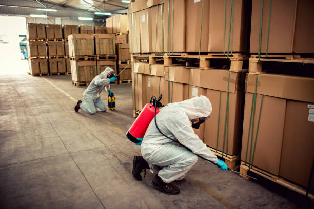 Best Flea Control Services  in Vienna Bend, LA