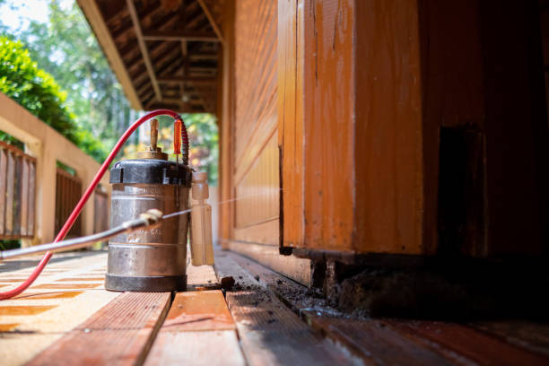 Best Exterminator Services  in Vienna Bend, LA