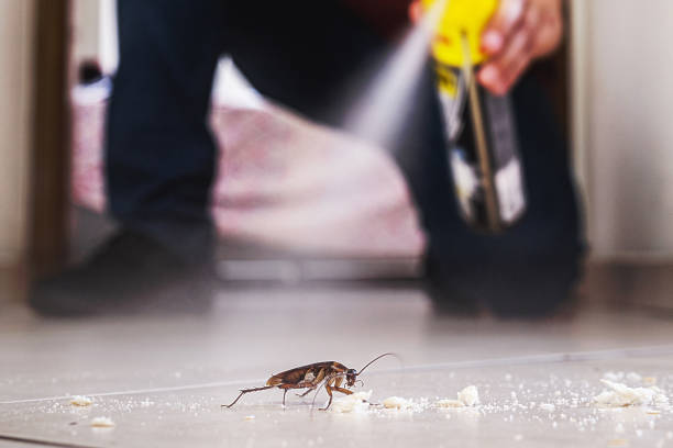 Best Emergency Pest Control  in Vienna Bend, LA