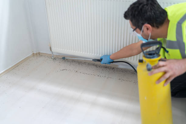 Wasp Removal Services in Vienna Bend, LA