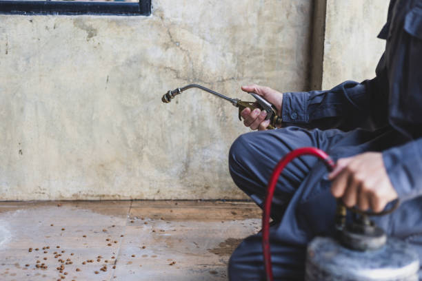 Best Termite Control Services  in Vienna Bend, LA