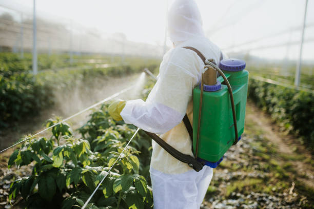 Best Bed Bug Extermination  in Vienna Bend, LA